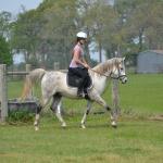 Phantom schooling with an amateur rider.

Photo by Elaine Yerty