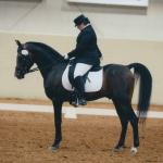 Sotamm showing at Regionals.

Photo by Reitsport Photography 2007