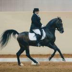 Sotamm showing at Regionals.

Photo by Reitsport Photography 2007