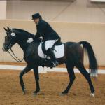 Sotamm showing at Regionals.

Photo by Reitsport Photography 2007