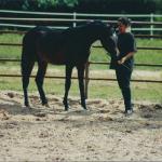 Sotamm as a yearling.

Photo by Elaine Yerty