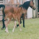 Bint with her son, Shaheen.

Photo by Elaine Yerty