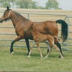 Bint with her son, Shaheen.

Photo by Elaine Yerty