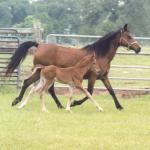 Bint with her son, Shaheen.

Photo by Elaine Yerty