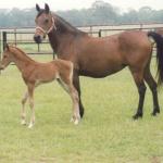 Bint with her son, Shaheen.

Photo by Elaine Yerty