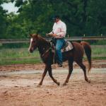 Shariif under saddle.

Photo by Elaine Yerty