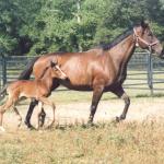 Pal with her 2006 daughter, Sotamm It LetItGo.

Photo by Elaine Yerty